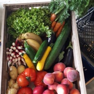 Panier d'Été
