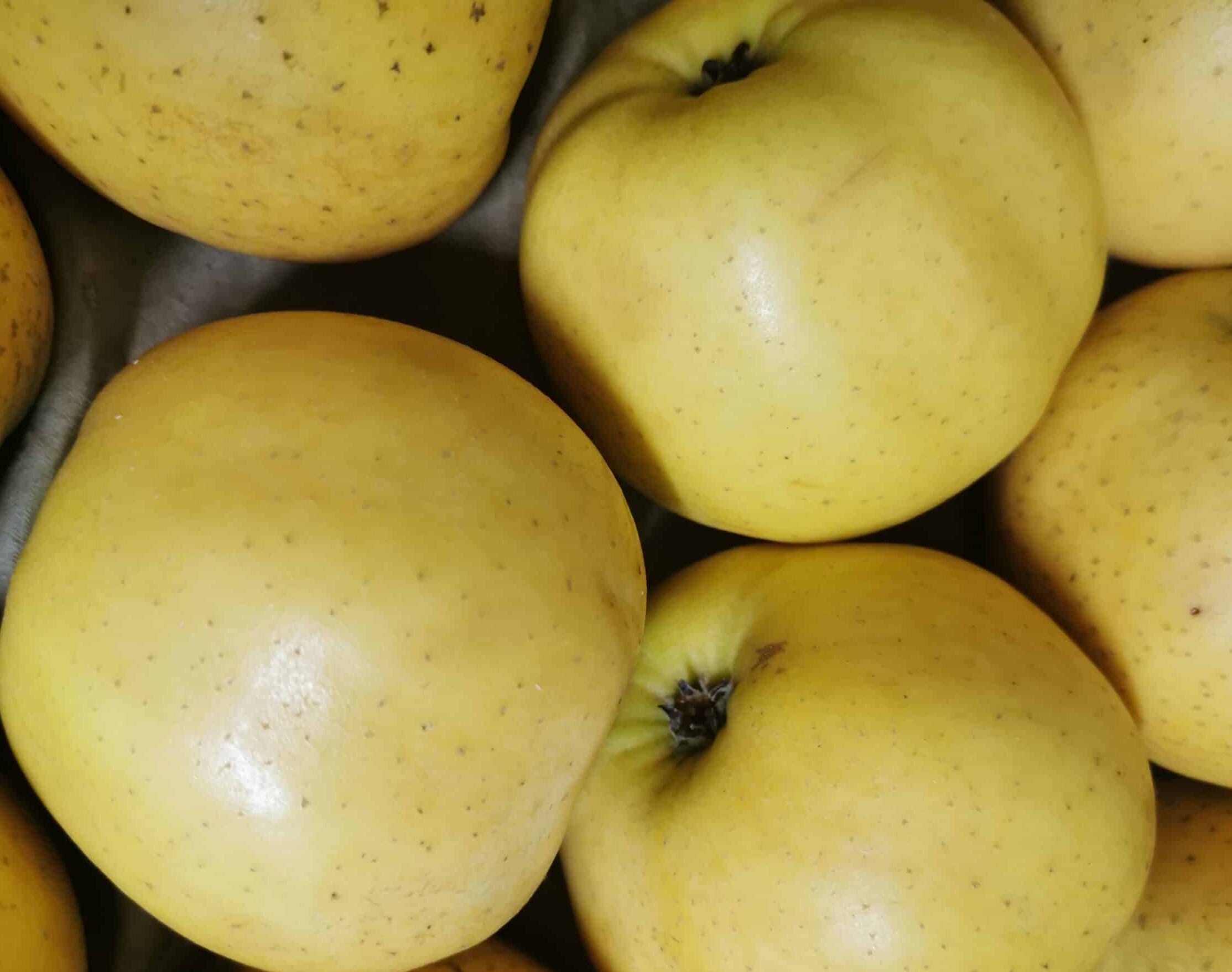 Pomme BELCHARD par 2kg